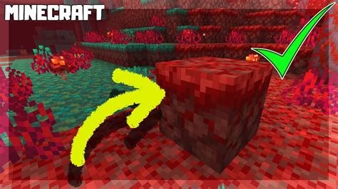Minecraft crimson nylium  But looks can be deceiving