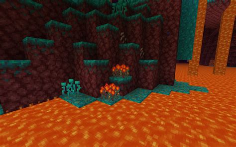 Minecraft crimson nylium  The floor of the biome is covered in warped nylium, with warped roots and nether sprouts growing