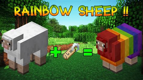 Minecraft disco sheep  joepiotje