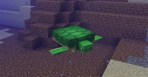 Minecraft drowned spawn  In 0