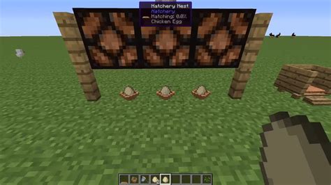 Minecraft hatchery mod  Hatchery adds in new Blocks, AI, and Items to aid payers in farming your own chickens