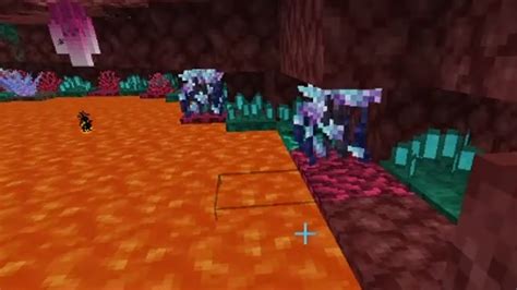 Minecraft nether reed If you stayed with the default name of world then the folders would be named world, world_nether, and world_the_end