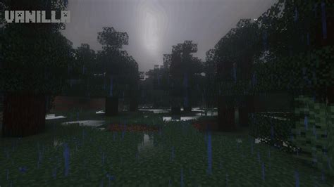 Minecraft rain shaders  Run the Forge Java file