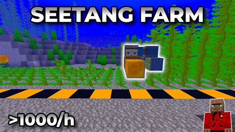 Minecraft seetang farm  Hands down it isn't even a competition really