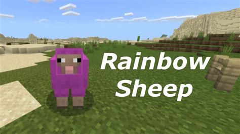 Minecraft sheep named jeb A Jeb sheep is a shifting color sheep