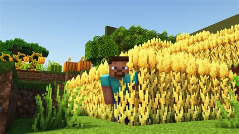 Minecraft tall wheat texture pack 1 Other Texture Pack