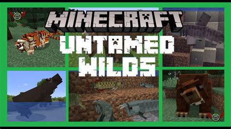 Minecraft untamed wilds taming 1 / 1