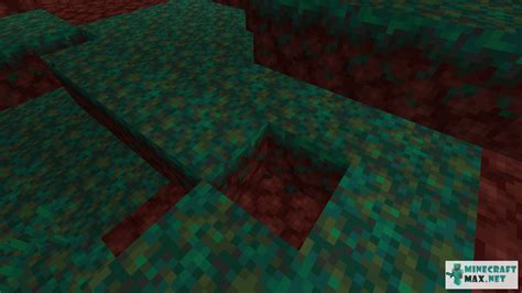 Minecraft warped nylium  The block also breaks if the block below is removed, or if water flows into its space