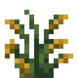 Minecraft wild rice  188 upvotes · 21 comments