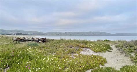 Miwok campground  Several creation fragments exist detailing Coyote's place in the family of the "first spirits" on earth