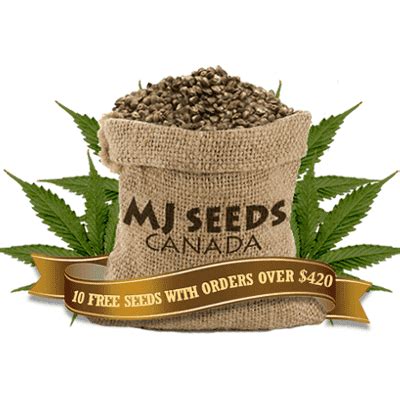 Mj seeds canada coupon  Our coupon hunters have been watching all the fantastic offers happening at MJ Seeds Canada and we have added a lot of MJ Seeds Canada coupons that can save