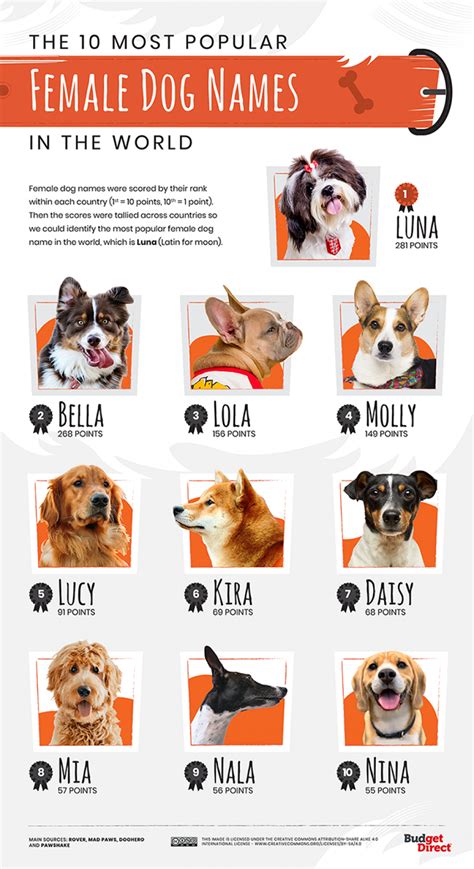 Mocna imena za pse  Pogosta vprašanja o psih