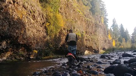 Molalla river fishing  Deschutes River, and much, much more, Oregon is an angler’s… Read More >>> Molalla Summer Activities