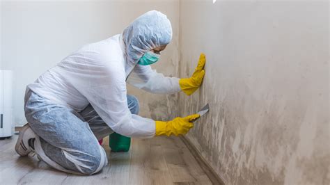 Mold remediation jobs  $3,000 - $5,000 a month