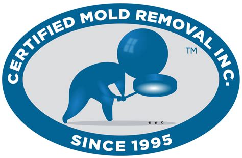 Mold removal cranford nj  Snow Removal, Chimney or Fireplace - Clean and Inspect, Landscape - Install Landscaping for Yard , and 2 more