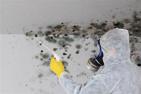 Mold removal east massapequa ny First Response Restoration and Cleaning Inc