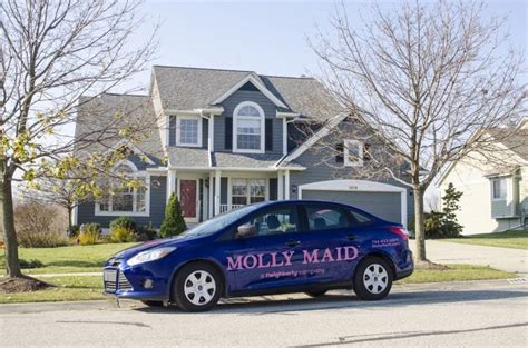 Molly maid charlottesville  House Cleaner