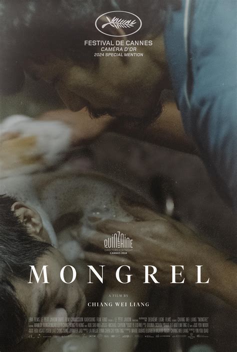 Mongrel 5 letters  bâtard