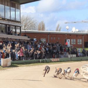 Monmore green saturday race card  Saturday 18th November 2023 – Final Card