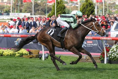 Moonee valley friday night races  Relaxed