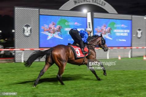 Moonee valley track records  In recent years we have developed our Night Racing product into what is now the most entertaining racing show