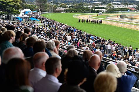 Mornington racecourse race days  There's an undercover area as well, but, regardless of the weather, thousands of regular market-goers always keep the second and sometimes third Sunday of the month