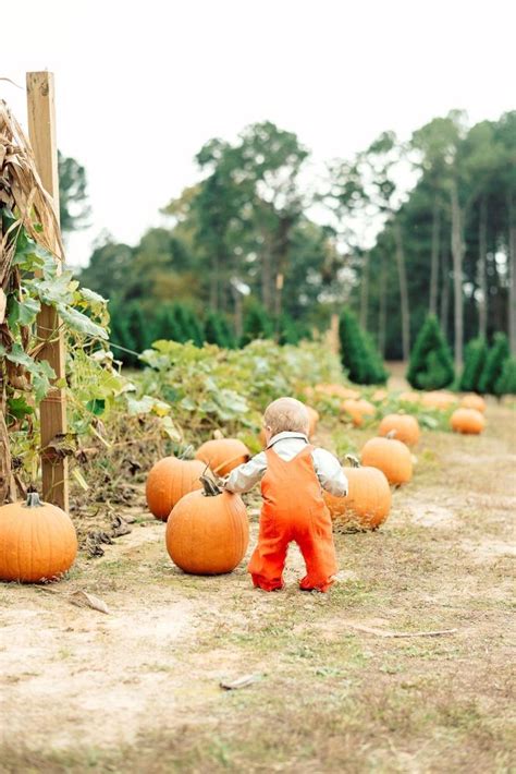 Motley pumpkin patch Remember last year when Xavier barely had teeth coming in? Now he has almost all his teeth and running around the pumpkin patch!#arkansas #littlerock #fall #