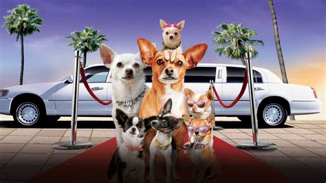 Moviesjoy beverly hills chihuahua  Beverly Hills Chihuahua is 36133 on the JustWatch Daily Streaming Charts today