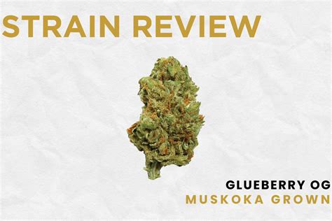 Muskoka cannabis store around my location  (WLUC) - A new cannabis store in Gogebic County is now open