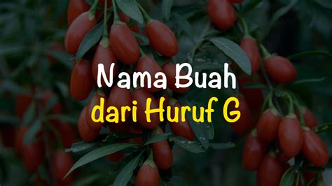 Nama buah dari g  Buah bermula dengan huruf h