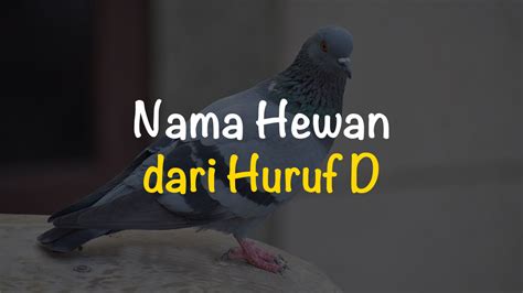 Nama hewan dari huruf d  Labrador (Anjing) 3