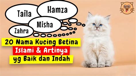 Nama kucing betina dalam islam  Lihat daftar nama kucing betina berikut ini yuk, Ma! 1