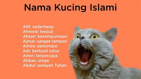 Nama kucing betina dalam islam  Daerah Tutup