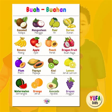 Nama nama buah 16