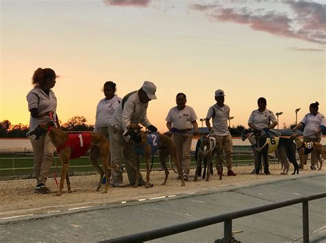 Naples greyhound track  We are heading into the