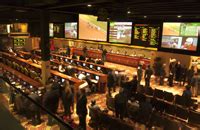 Nassau otb race palace  NROTB operates six branch locations within, and restricted to, Nassau County: Race Palace, Carle Place, Franklin Square, ValleyNassau Downs Otb can be found at Round Swamp Rd 1600