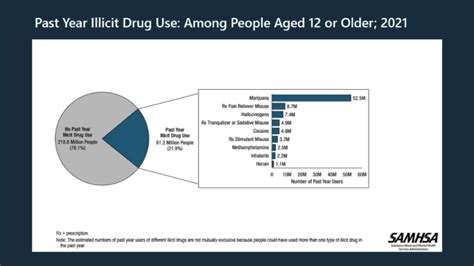 2024 National Survey on Drug Use and Health (NSDUH): Final …