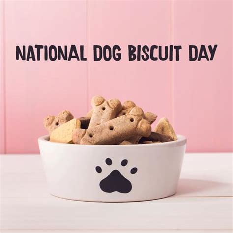 National biscuit day 2024  National Buttermilk Biscuit Day