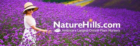 Nature hills promo code  VerifiedAmerican Eagle Promo Codes