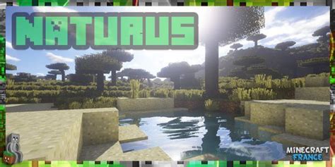 Naturus resource pack 20! Swords, shields, bows, guns, axes, elytra, fishing rods, armor & more! PvP Texture Pack | Thanks for the support! | New pack soon! Wallibear Texture PVP Pack! Minecraft resource packs customize the look and feel of the game