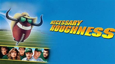 Necessary roughness trailer  We call this regime Rough Turbulent Flow