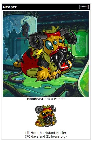 Neopets golden dubloon  if youre connections decent, youre much better off restocking
