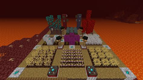 Nether star seed 18 and above since bedrock became seed dependent in that release