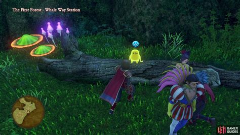 Neverglade dq11  IGN's Dragon Quest XI complete strategy guide and walkthrough will lead you through every