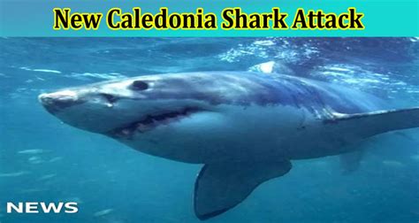 New caledonia shark attack reddit The occurrence of a longfin mako off the reef barrier on the west coast of New Caledonia has an extremely low probability, as the species has a pelagic distribution