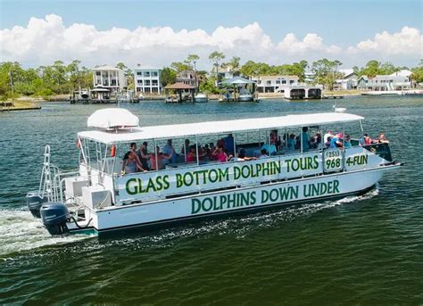 New smyrna beach dolphin tours The steamy days of summer give way to comfortable, fall weather, wonderfully mild winters, and warm springs