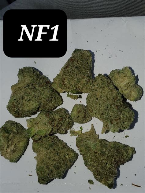 Nf1 strain  Use your location