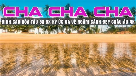 Nhạc không lời cha cha cha disco mp3  Với những giai điệu và âm thanh tuyệt vời, nhạc vàng không lời sẽ