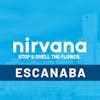 Nirvana escanaba  Terms & exclusions may apply