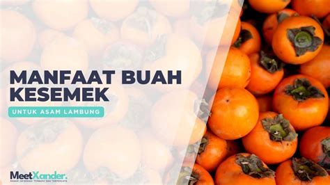 No togel buah kesemek  Jual